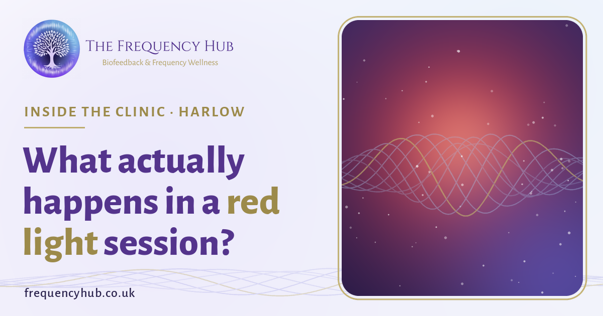 The Frequency Hub tree-of-life logo with the tagline Biofeedback & Frequency Wellness, beside the headline: What actually happens in a red light session?