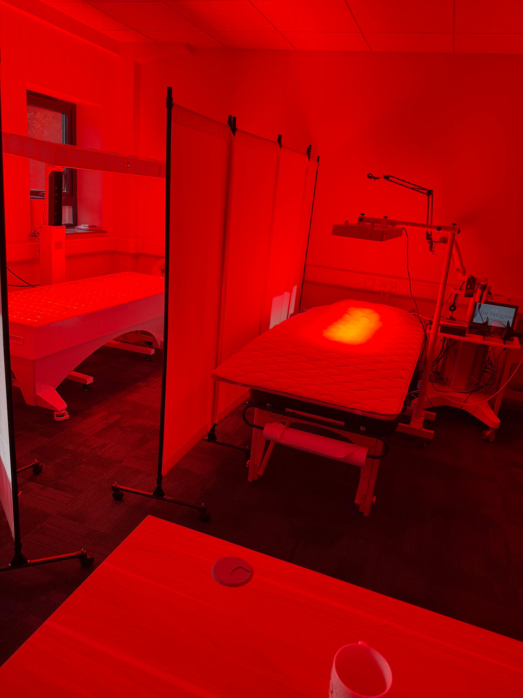 Clinical 10-Wavelength Full Spectrum Red Light Therapy Bed – Full Body Top & Bottom | High Power