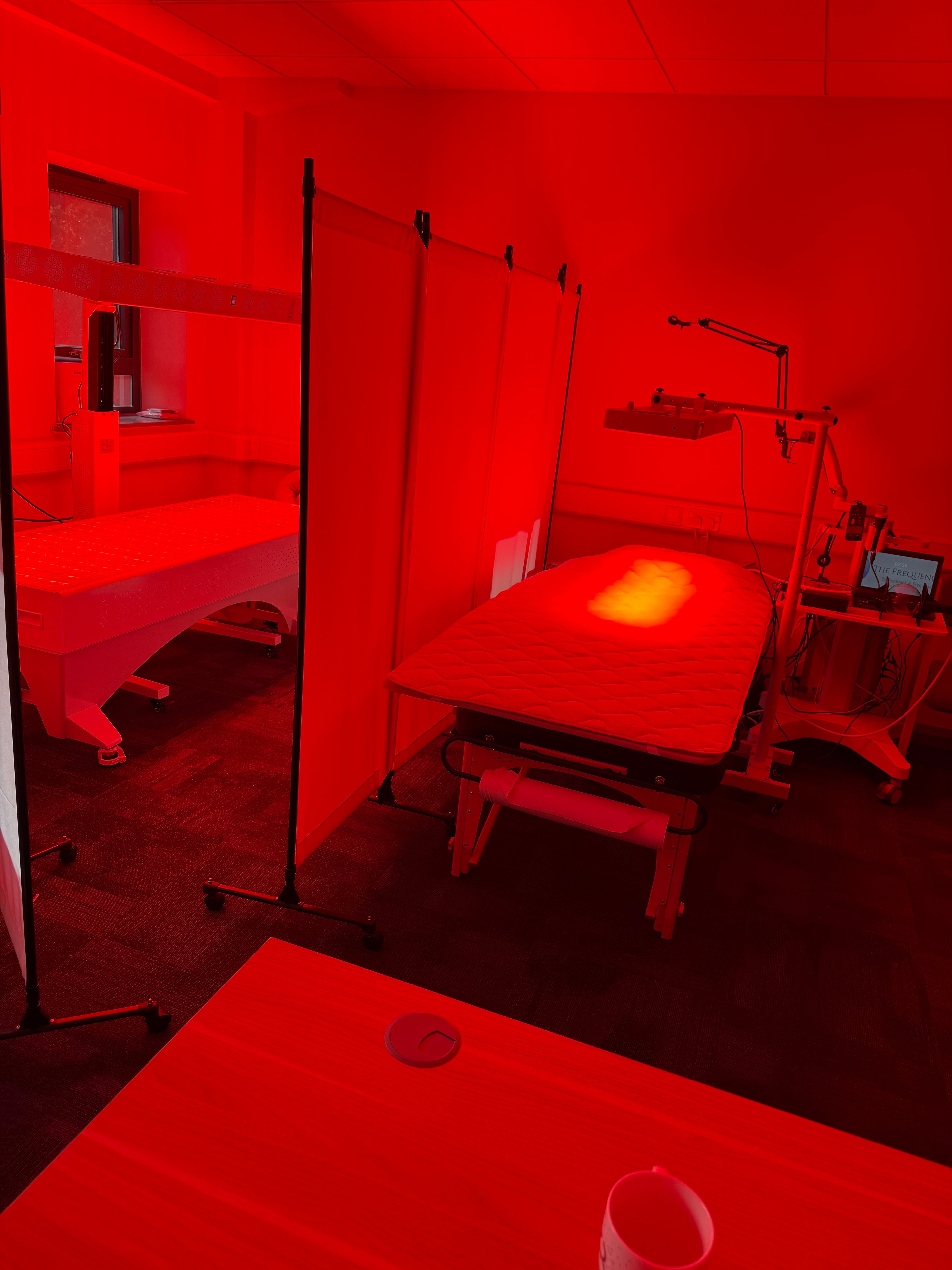 Clinical 10-Wavelength Full Spectrum Red Light Therapy Bed – Full Body Top & Bottom | High Power